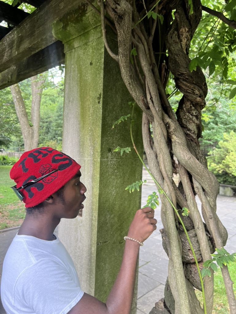 Summer of Fun at the Botanical Gardens in Brooklyn